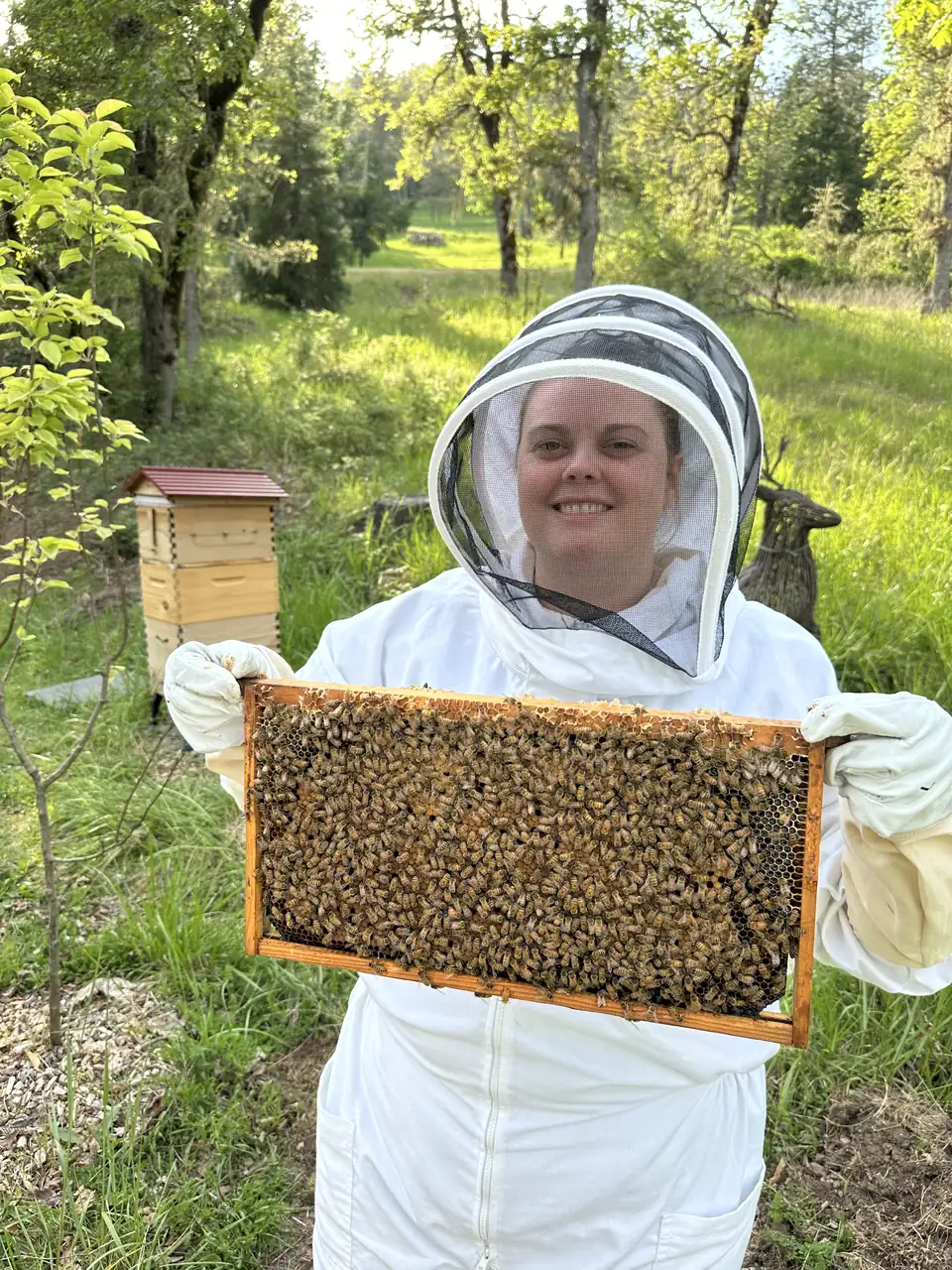 A beekeeper in a veil smiling while holding up a full frame of bees beside the hives
