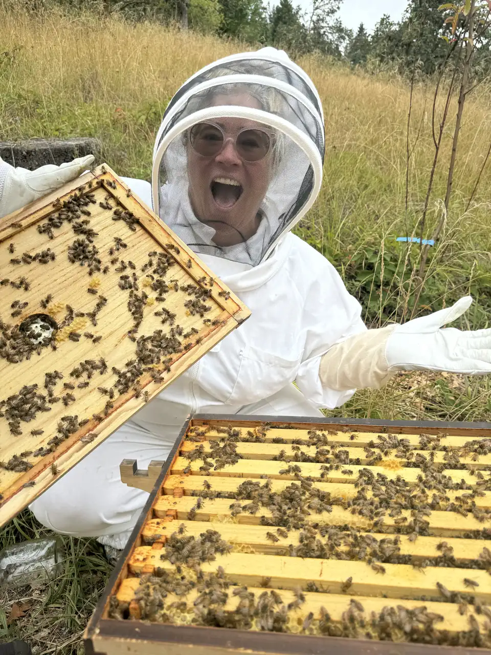 A beekeeper laughing while holding a frame beside an open hive