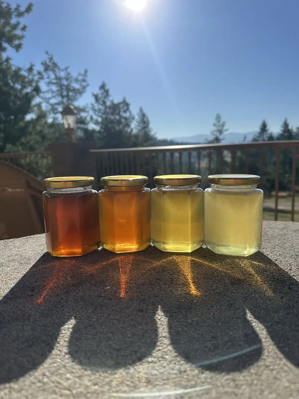 Four jars of raw honey on a sunny railing, dark amber to pale gold